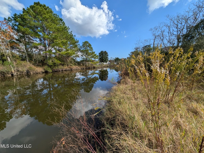 Discover Your Dream Waterfront Lot! Embrace the luxury of - Beach Lot for sale in Bay Saint Louis, Mississippi on Beachhouse.com