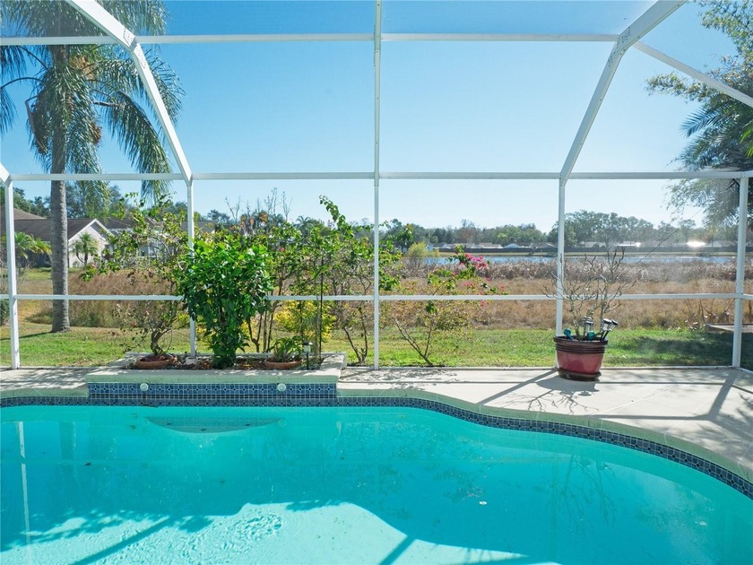 Under contract-accepting backup offers. Welcome to Carrollton - Beach Home for sale in Tampa, Florida on Beachhouse.com