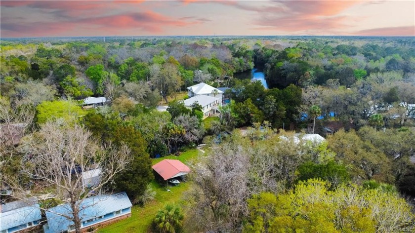 From sunrise to sunset this hidden gem nestled on a deep canal - Beach Lot for sale in Inglis, Florida on Beachhouse.com