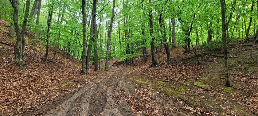 Heaven, Peace and Solitude--after being in the same family since - Beach Acreage for sale in Pentwater, Michigan on Beachhouse.com