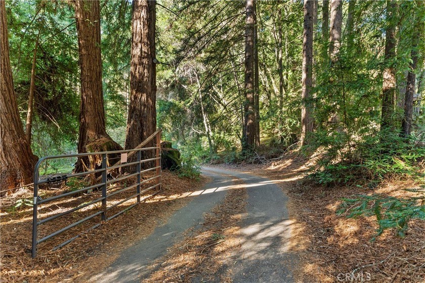 Discover a private redwood sanctuary on this exceptional 11+ - Beach Acreage for sale in Aptos, California on Beachhouse.com