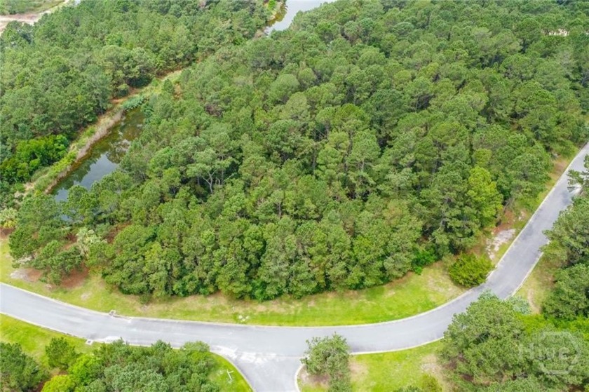 Welcome to Dolphin Island Community. Here's a Great Opportunity - Beach Lot for sale in Midway, Georgia on Beachhouse.com