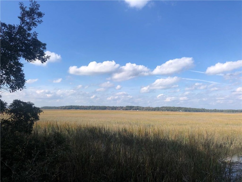 Beautiful marsh views from this lot!  Located in the quiet - Beach Lot for sale in Townsend, Georgia on Beachhouse.com