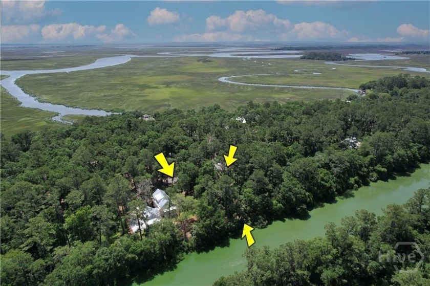 Nestled in the Coastal enclave of Tolomato Island in Darien, GA - Beach Lot for sale in Darien, Georgia on Beachhouse.com
