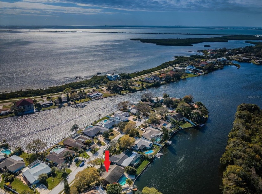 One or more photo(s) has been virtually staged. Prime lake - Beach Home for sale in Safety Harbor, Florida on Beachhouse.com