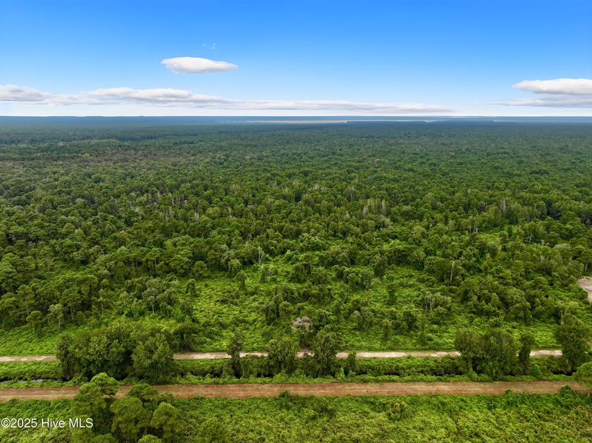 60 Acres of Hunting and Recreational Land For Sale in Hyde - Beach Acreage for sale in Belhaven, North Carolina on Beachhouse.com