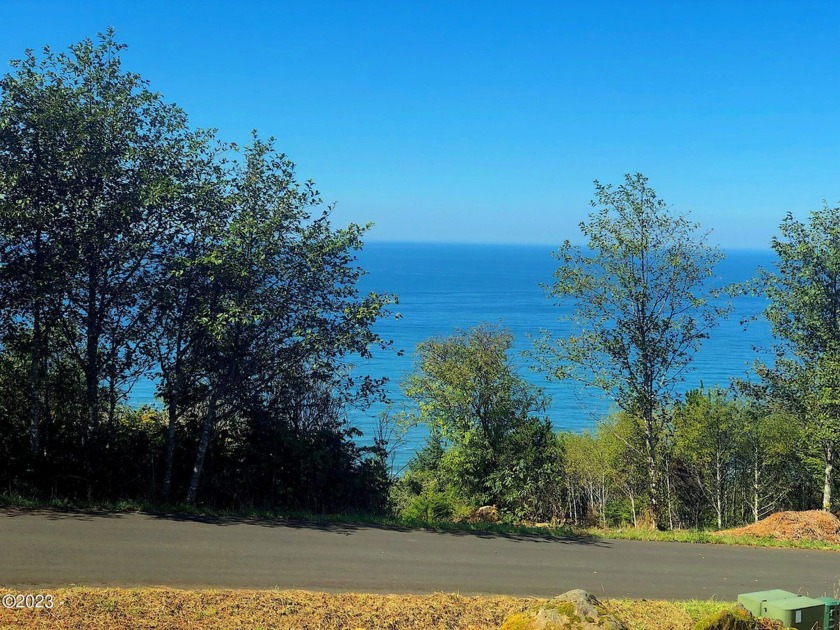 OCEAN VIEWS from this PRIME lot at the top of Horizon Hill Road! - Beach Lot for sale in Yachats, Oregon on Beachhouse.com