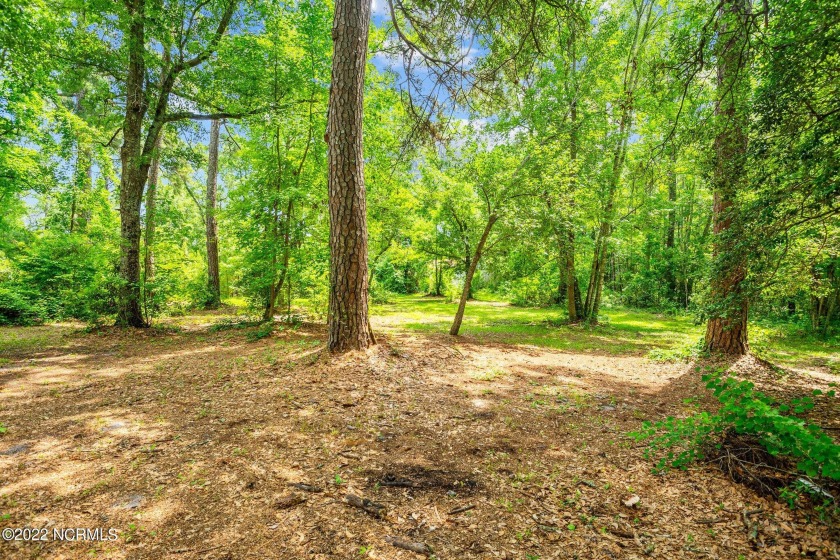 Now Available. This prime land tract is now offered for - Beach Lot for sale in Holly Ridge, North Carolina on Beachhouse.com