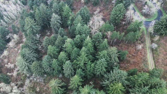 15+-acre F2-zoned property with the potential for beautiful - Beach Acreage for sale in Florence, Oregon on Beachhouse.com