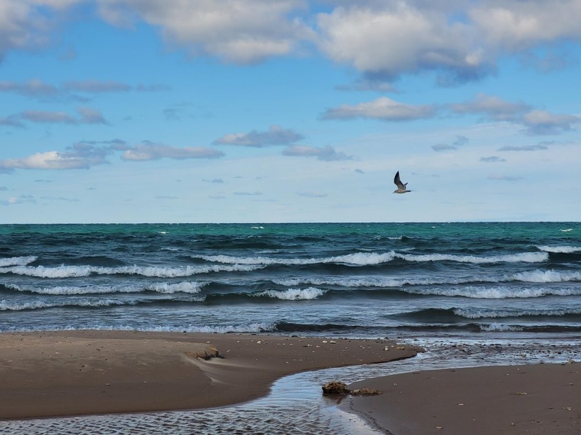 Lake Huron Public Access.  Vacant wooded, dry 1/2 acre parcel - Beach Lot for sale in Rogers City, Michigan on Beachhouse.com