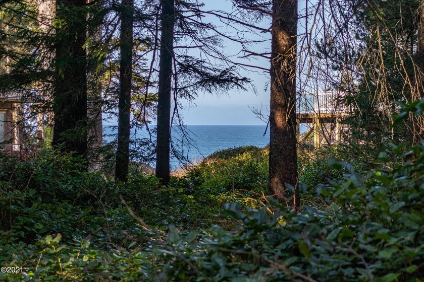One of the few remaining Ocean View Level Lots in the Little - Beach Lot for sale in Depoe Bay, Oregon on Beachhouse.com