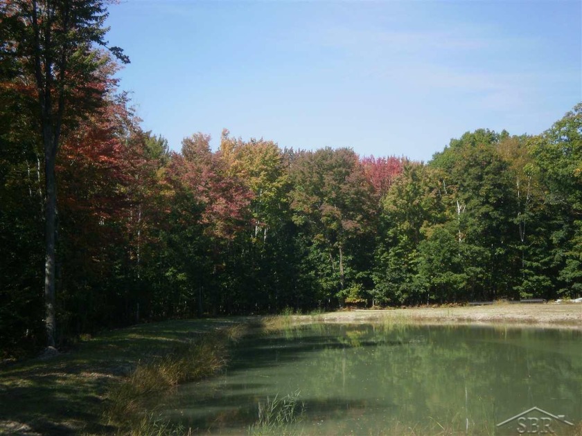 80 Acres with woods, some cleared land, and 2 ponds. Excellent - Beach Acreage for sale in Linwood, Michigan on Beachhouse.com