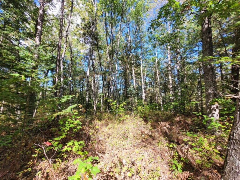 A Private, Nicely Wooded 1.27 Acre parcel on a county maintained - Beach Lot for sale in Ocqueoc, Michigan on Beachhouse.com