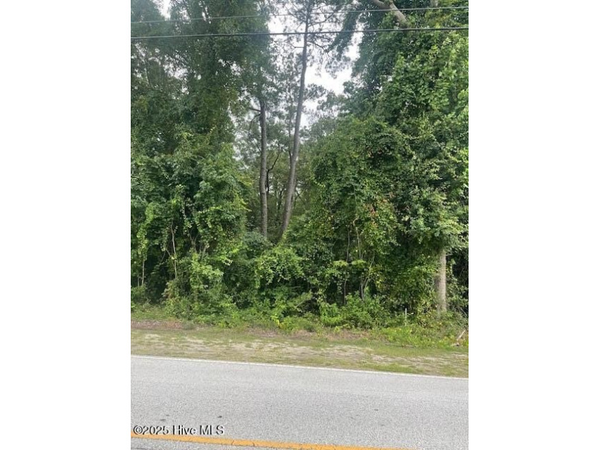 Two undeveloped wooded Residential lots being sold together - Beach Lot for sale in Washington, North Carolina on Beachhouse.com