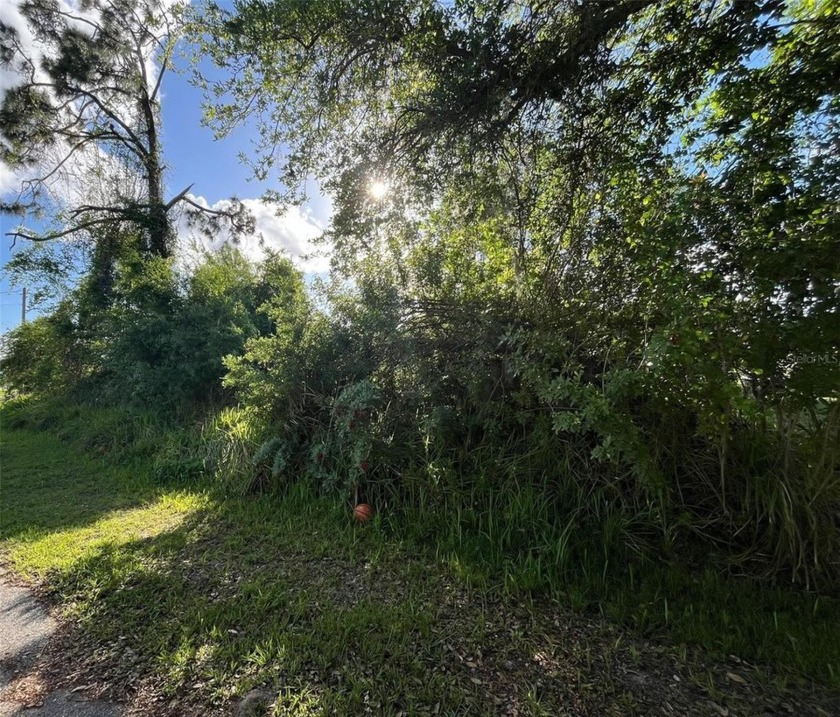 Beautiful oversized lot in North Port in a convenient location - Beach Lot for sale in North Port, Florida on Beachhouse.com