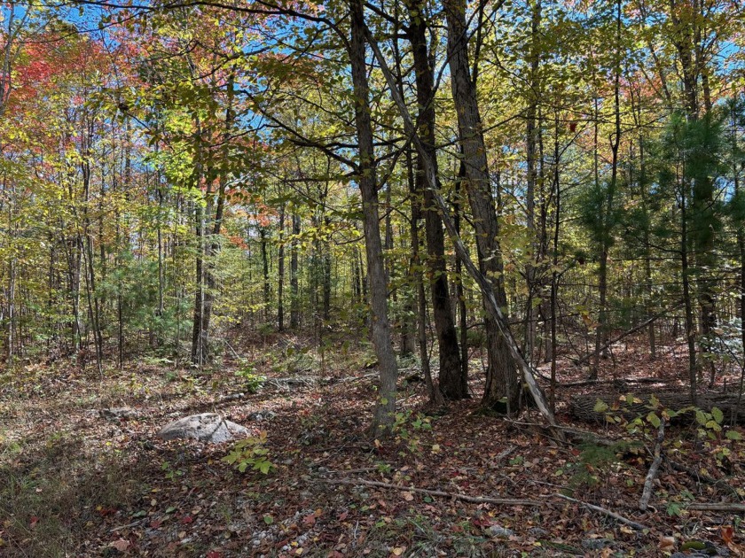 80 acres of pristine vacant land, perfect for outdoor - Beach Acreage for sale in Presque Isle, Michigan on Beachhouse.com