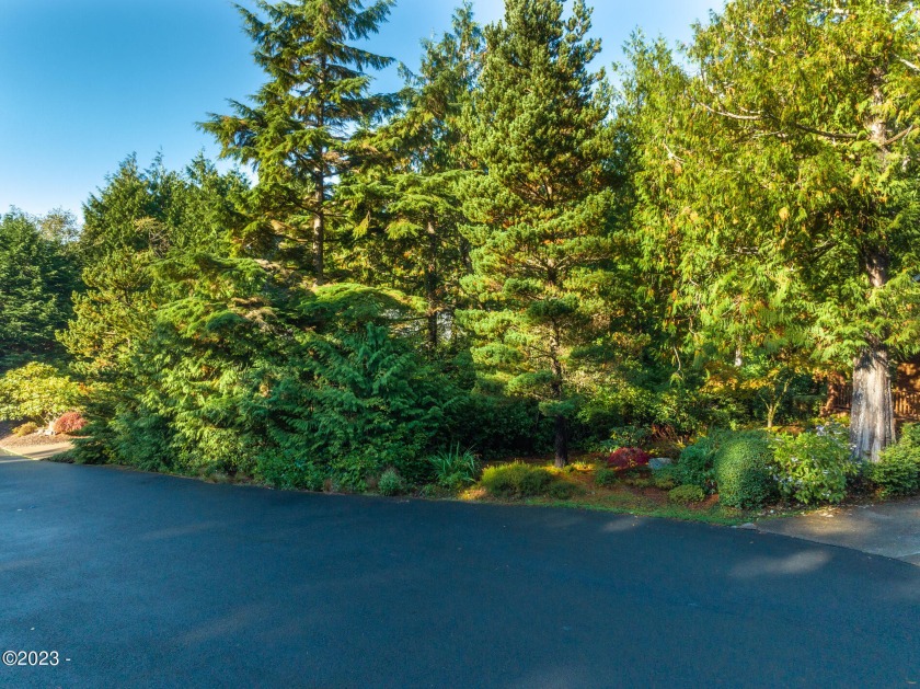 This large .26 acre lot is fairly level and ready for your dream - Beach Lot for sale in Depoe Bay, Oregon on Beachhouse.com