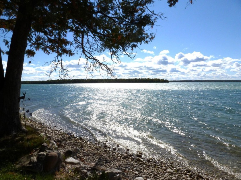 Beautiful wooded Grand Lake lot in highly desirable location - Beach Lot for sale in Presque Isle, Michigan on Beachhouse.com