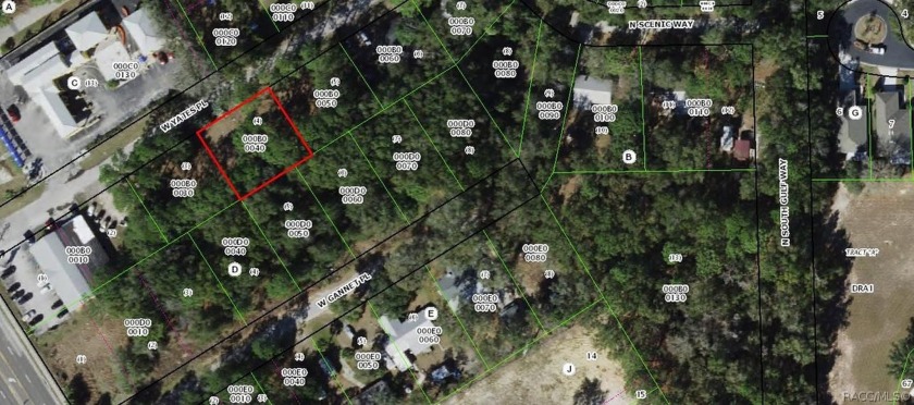 Introducing an exceptional opportunity in Crystal River - Beach Lot for sale in Crystal River, Florida on Beachhouse.com