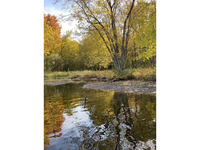 Discover the ultimate private retreat with this rare 40-acre - Beach Acreage for sale in Alpena, Michigan on Beachhouse.com