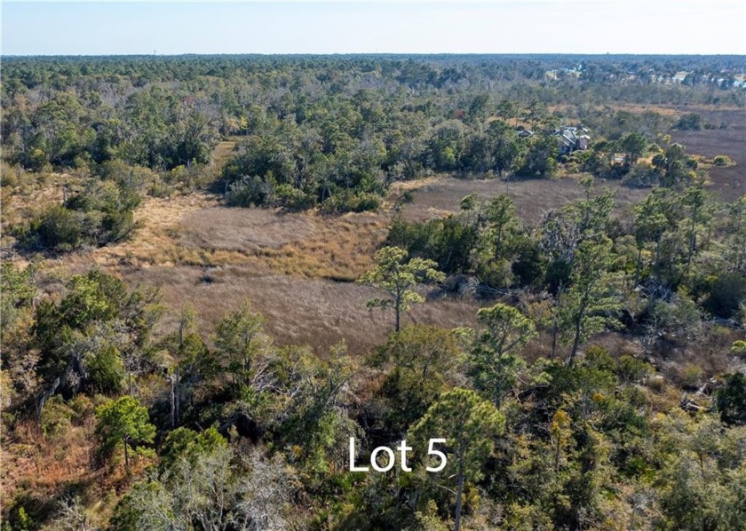 This large marsh front lot is located in Stillwater, one of the - Beach Lot for sale in Saint Simons, Georgia on Beachhouse.com