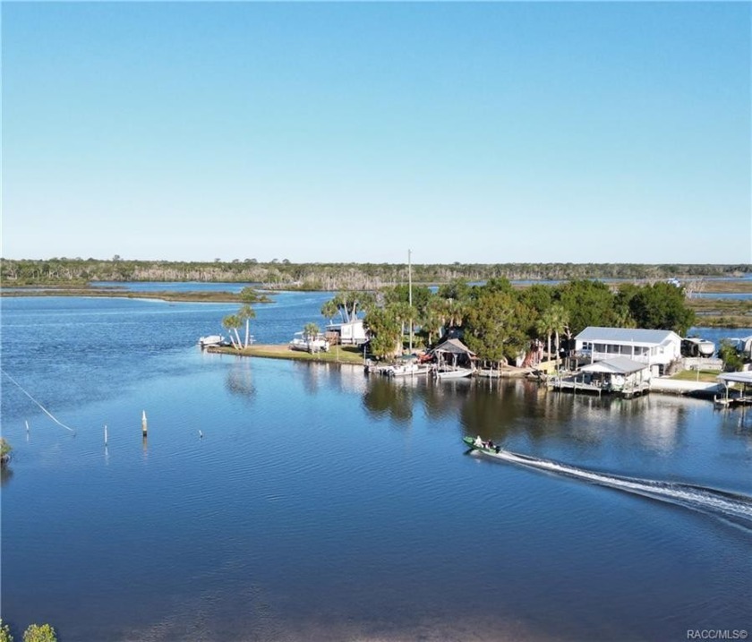 PRIME WATERFRONT** OLD HOMOSASSA, the most desired community. A - Beach Home for sale in Homosassa, Florida on Beachhouse.com
