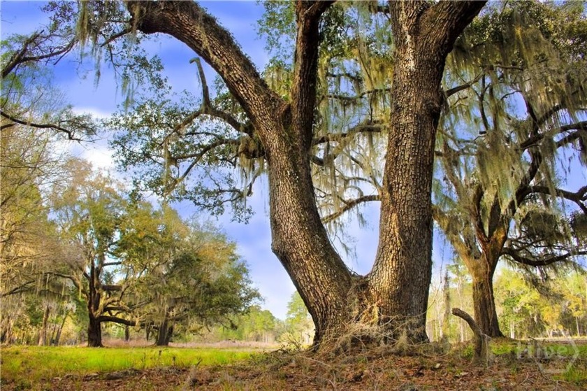 Incredible opportunity to build out a beautiful, upscale - Beach Home for sale in Savannah, Georgia on Beachhouse.com