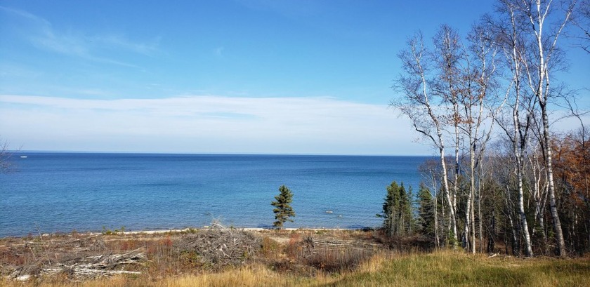 Great wooded 160' building site on a bluff overlooking Lake - Beach Lot for sale in Cheboygan, Michigan on Beachhouse.com