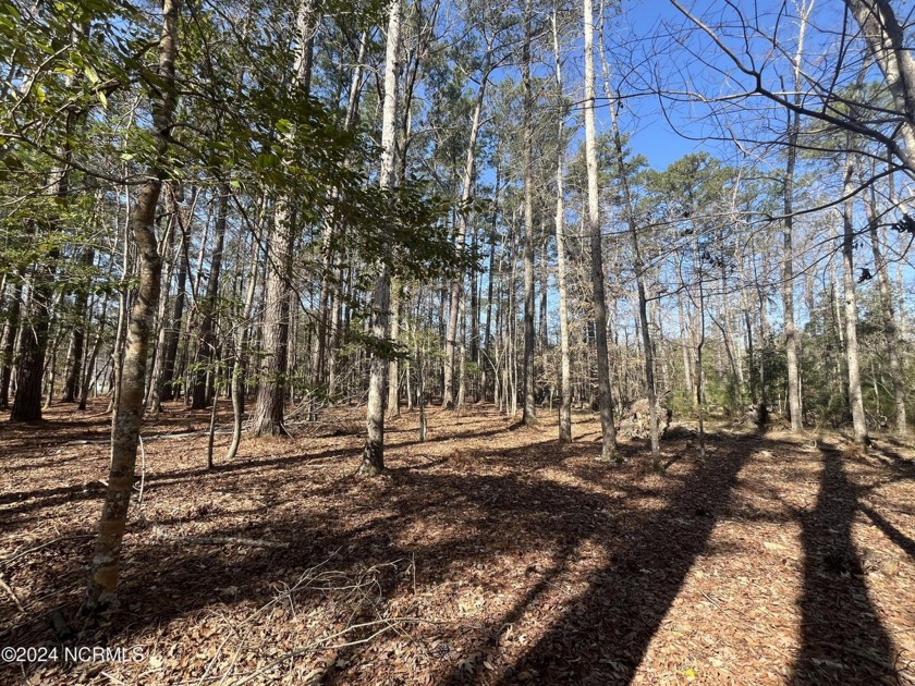 Rare find indeed! This 3.6 acres of woodlands has 600 feet of - Beach Acreage for sale in Oriental, North Carolina on Beachhouse.com
