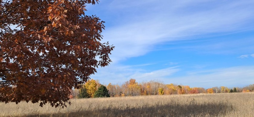 This beautiful landscape is ready and waiting for you! The 1 - Beach Lot for sale in Cheboygan, Michigan on Beachhouse.com