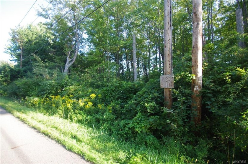 Build you dream home, summer place on this good size wooded lot - Beach Lot for sale in Angola, New York on Beachhouse.com