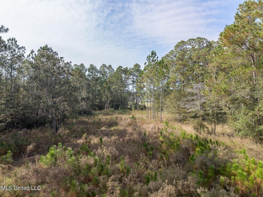 Build your dream home on this just-under 1-acre lot, prime for - Beach Lot for sale in Ocean Springs, Mississippi on Beachhouse.com