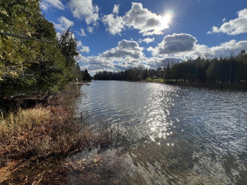 200' ON THE BLACK RIVER. Have you been dreaming of a beautiful - Beach Lot for sale in Cheboygan, Michigan on Beachhouse.com