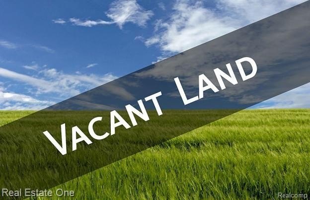 Over 10 acres with over 200' of frontage on Lake Huron! This is - Beach Acreage for sale in East Tawas, Michigan on Beachhouse.com