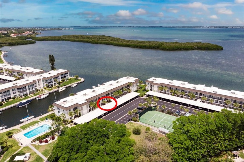 Call Agent for Gate Code.  Watch the dolphins and manatees play - Beach Condo for sale in Longboat Key, Florida on Beachhouse.com
