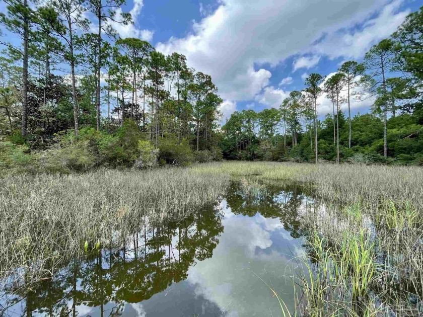 This beautiful wooded lot sets on a cul-de-sac and has frontage - Beach Lot for sale in Milton, Florida on Beachhouse.com