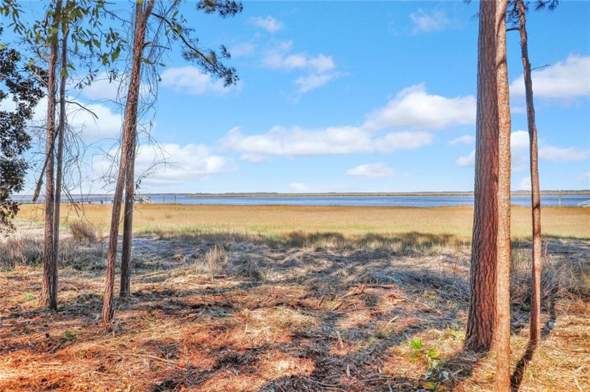 One of the last lots on the DEEP WATER South Newport River in - Beach Lot for sale in Townsend, Georgia on Beachhouse.com