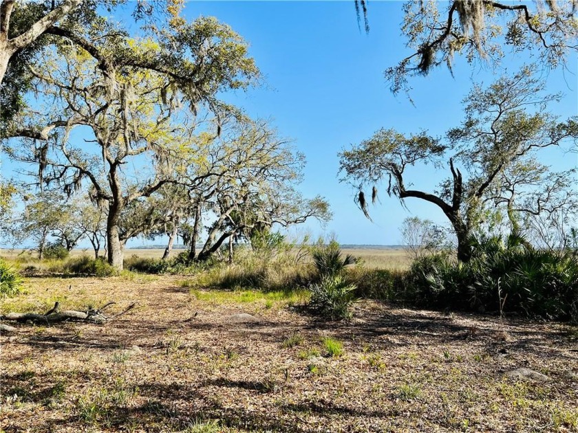 1 ACRE RESIDENTIAL LOT BEHIND THE GATES OF COOPERS POINT IN - Beach Lot for sale in Townsend, Georgia on Beachhouse.com
