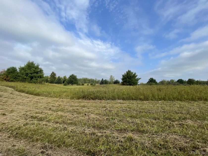 4.8 acre parcel located in the township of Baraga! 320' of road - Beach Acreage for sale in Baraga, Michigan on Beachhouse.com