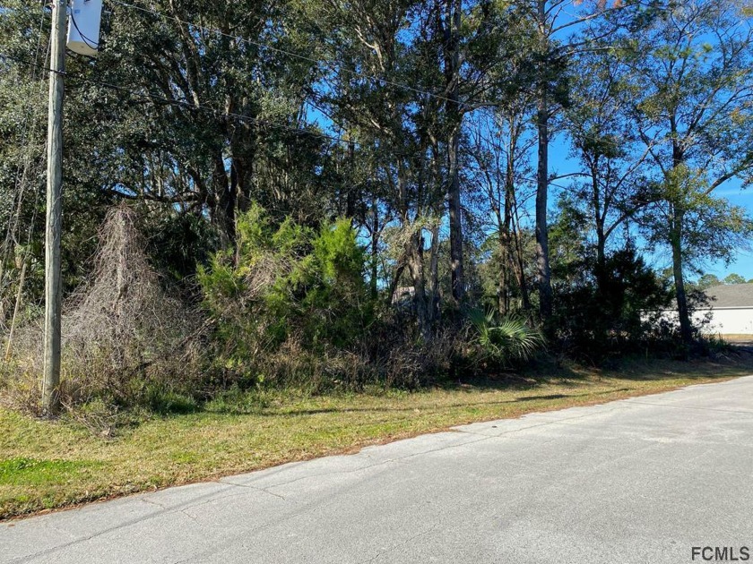 NICE LOT LOCATED IN PINE LAKES SUBDIVISION. CLOSE TO  WADSWORTH - Beach Lot for sale in Palm Coast, Florida on Beachhouse.com