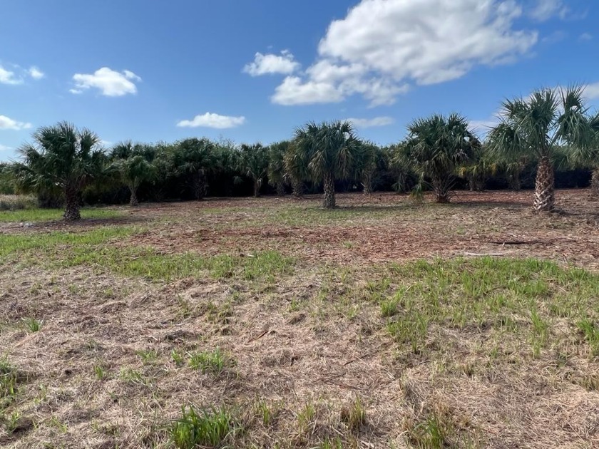 Vacant lot already cleared  ready to build your dream home - Beach Lot for sale in Palm Bay, Florida on Beachhouse.com