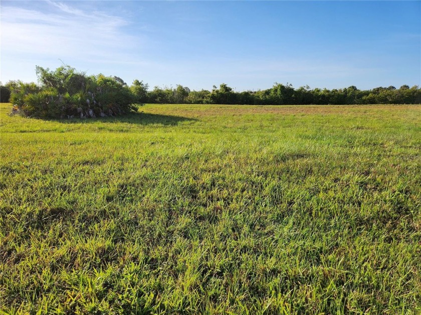 Your slice of paradise awaits! This beautiful lot is ready for - Beach Lot for sale in Placida, Florida on Beachhouse.com