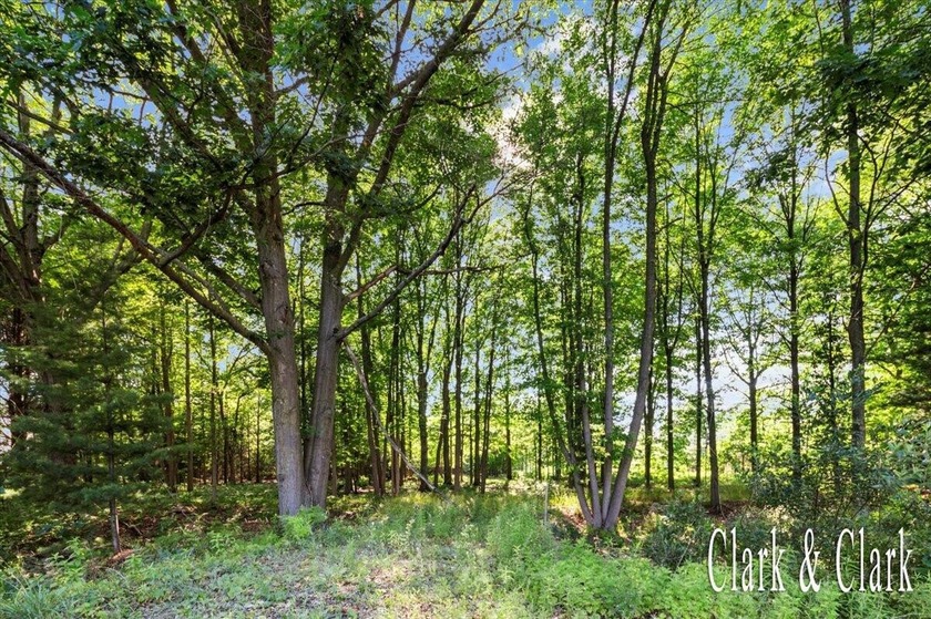Escape to serenity on this picturesque 2.27-acre wooded lot in - Beach Acreage for sale in Spring Lake, Michigan on Beachhouse.com