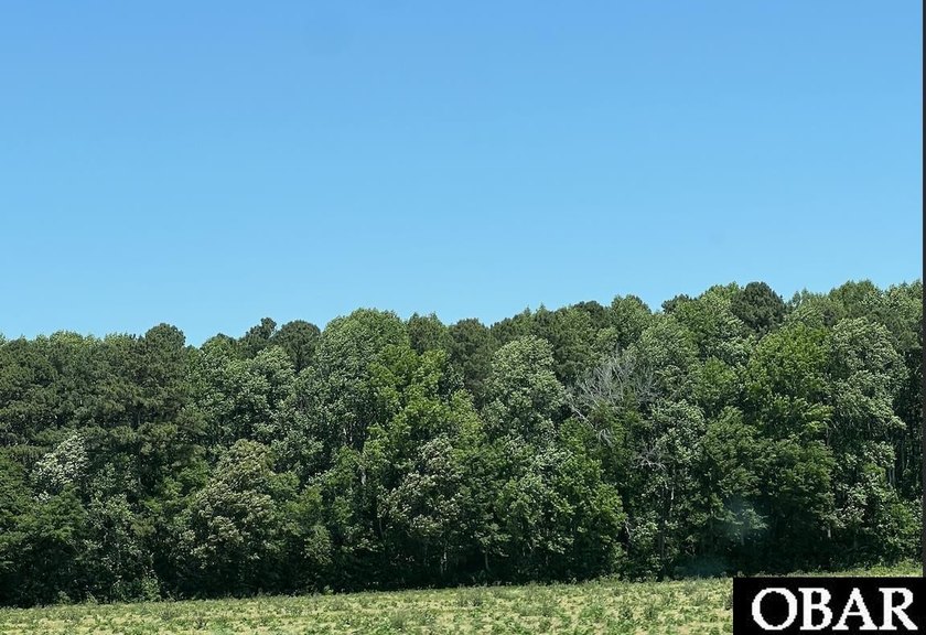 Tucked away and surrounded by mature woods, this beautiful - Beach Acreage for sale in Camden, North Carolina on Beachhouse.com