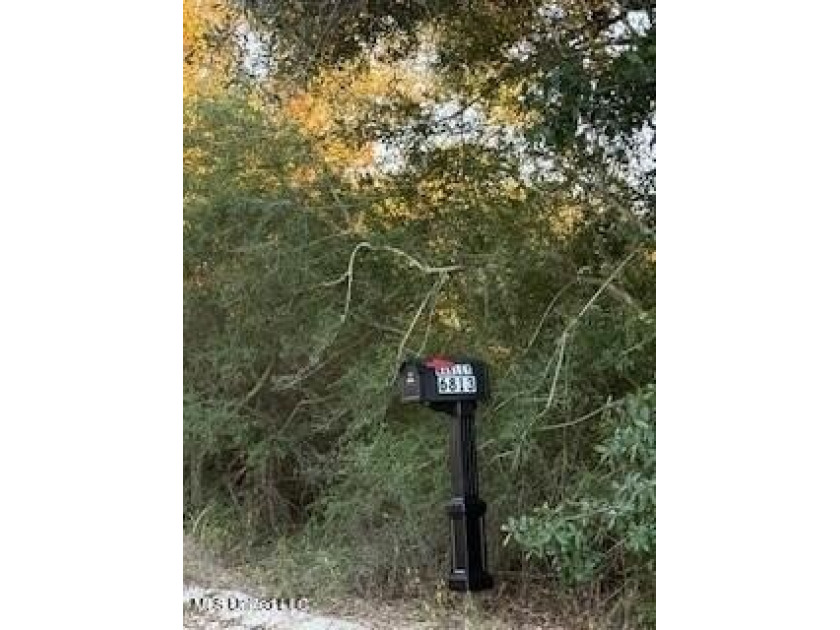 Don't miss this exceptional opportunity to own a waterfront - Beach Lot for sale in Ocean Springs, Mississippi on Beachhouse.com