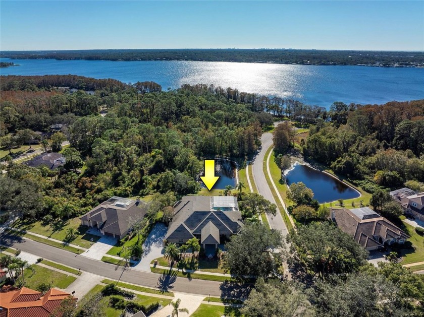 EXCEPTIONAL VIEWS overlooking a private pond and Lake Tarpon! - Beach Home for sale in Palm Harbor, Florida on Beachhouse.com