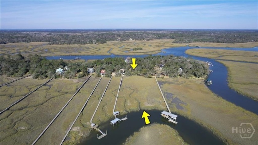 Nestled in the historic Old Tolomato Island, this serene lot - Beach Lot for sale in Darien, Georgia on Beachhouse.com