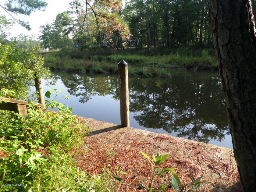 Large wooded lot in the beautiful Sail Haven subdivision. This - Beach Lot for sale in Oriental, North Carolina on Beachhouse.com