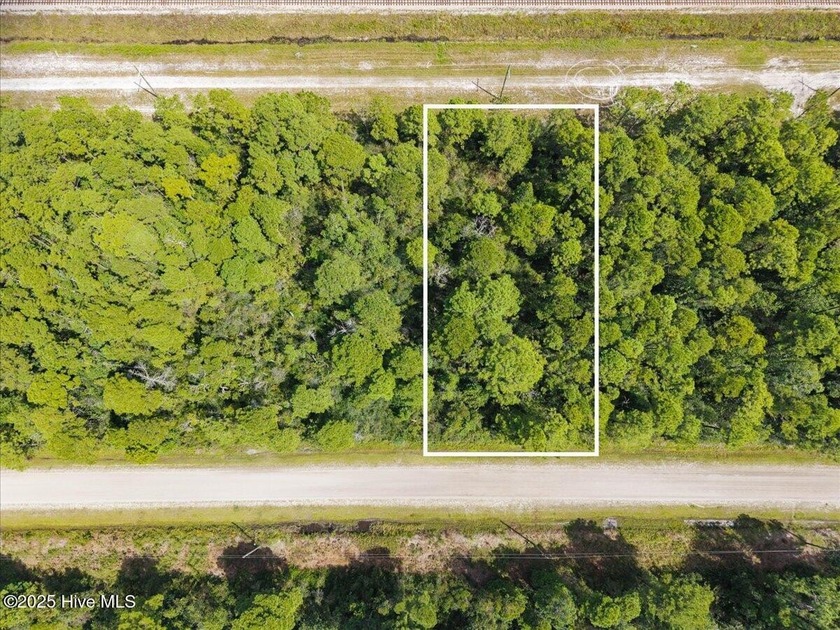 This wooded 0.38-acre lot in Boiling Spring Lakes offers a blank - Beach Lot for sale in Southport, North Carolina on Beachhouse.com