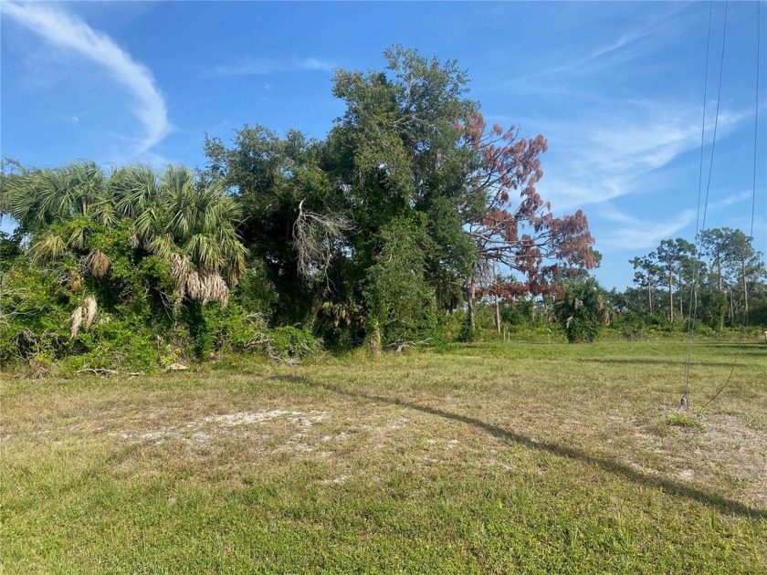 Build your dream home in wonderful Rotonda West Pine Valley - Beach Lot for sale in Rotonda West, Florida on Beachhouse.com